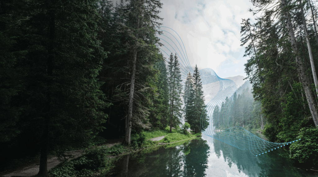 Behind the Scenes of a FIDO Plus Project (1)