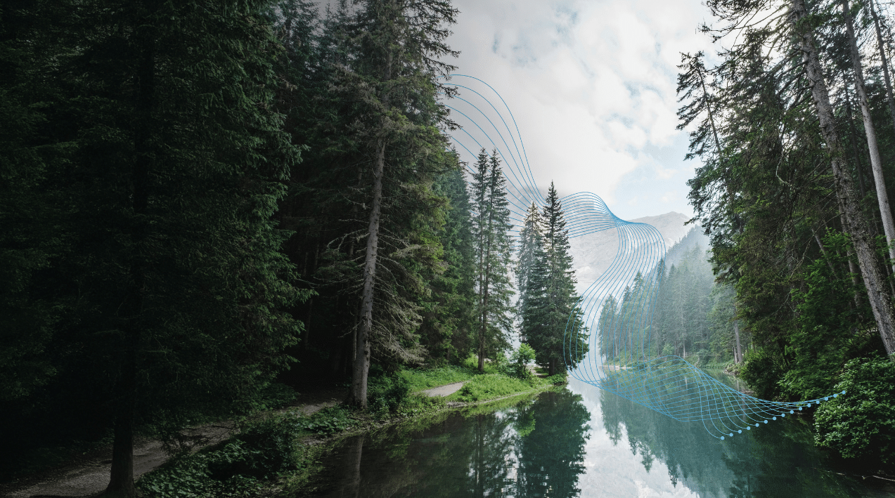 Behind the scenes of an Aqua Plus project: How we use innovation to deliver water resilience