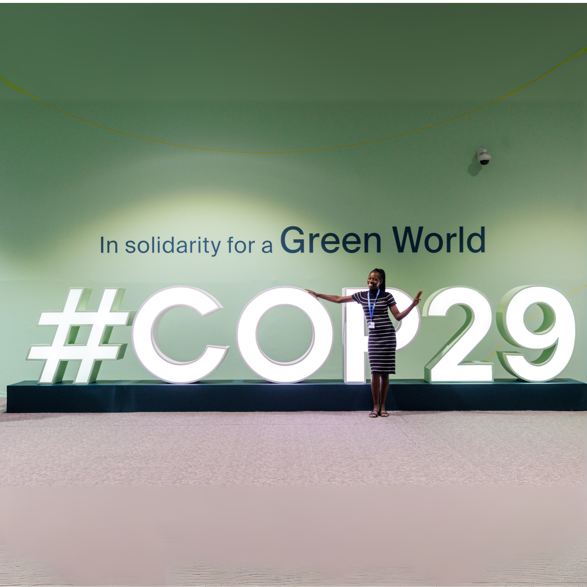 COP29: A declaration for water on the shores of the Caspian Sea