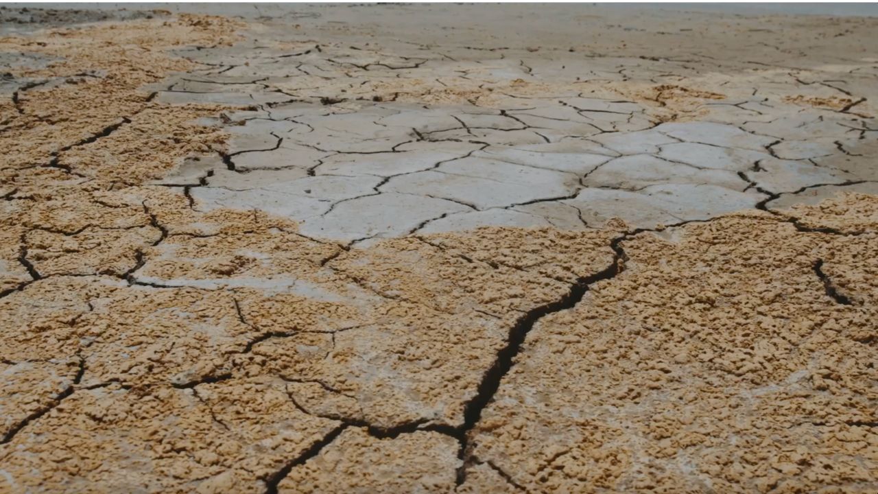 5 things sustainable brands need to know about water