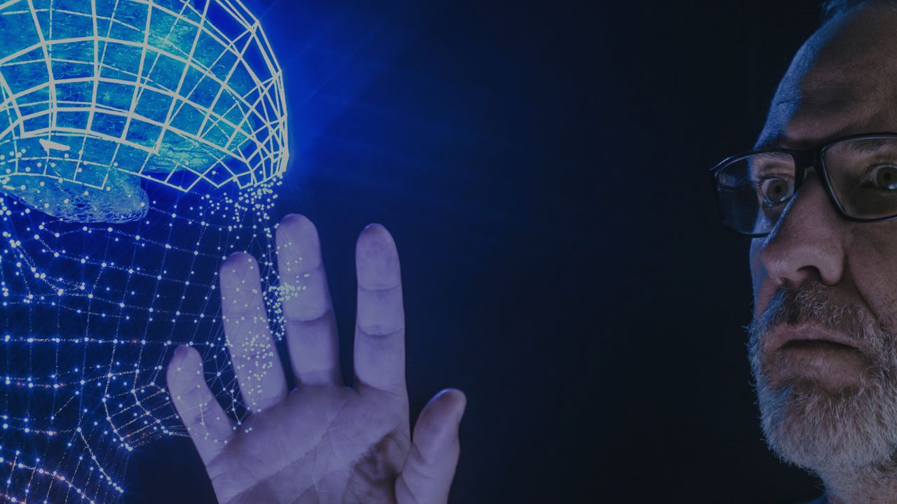 Humans and AI in partnership: A way to overcome resistance and risk