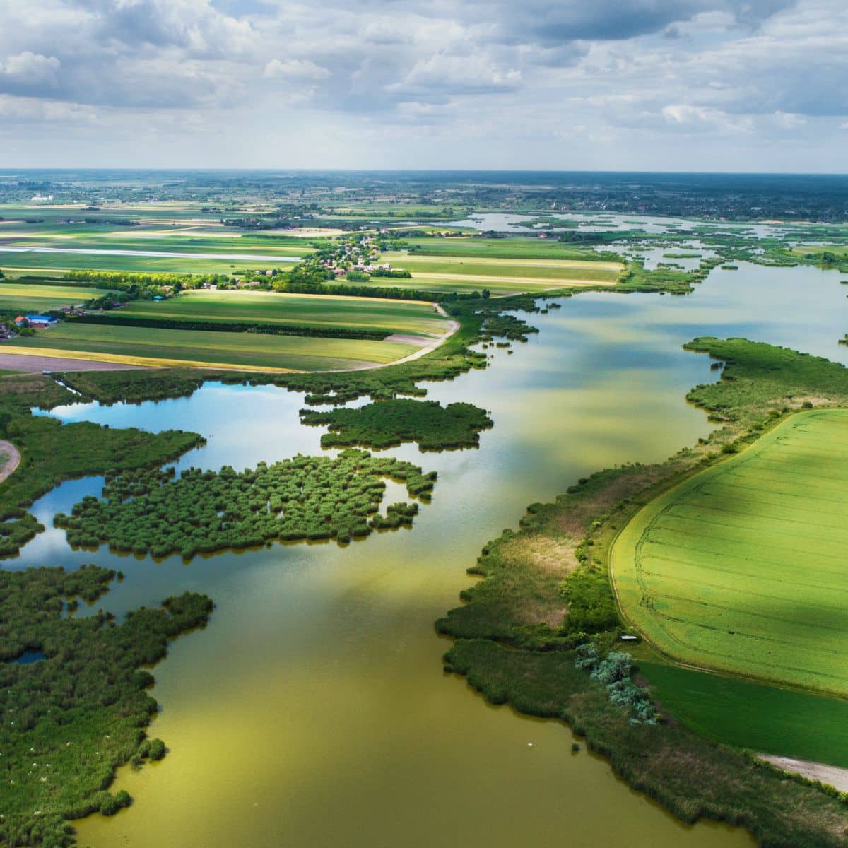 Water stewardship: The hidden key to corporate biodiversity goals