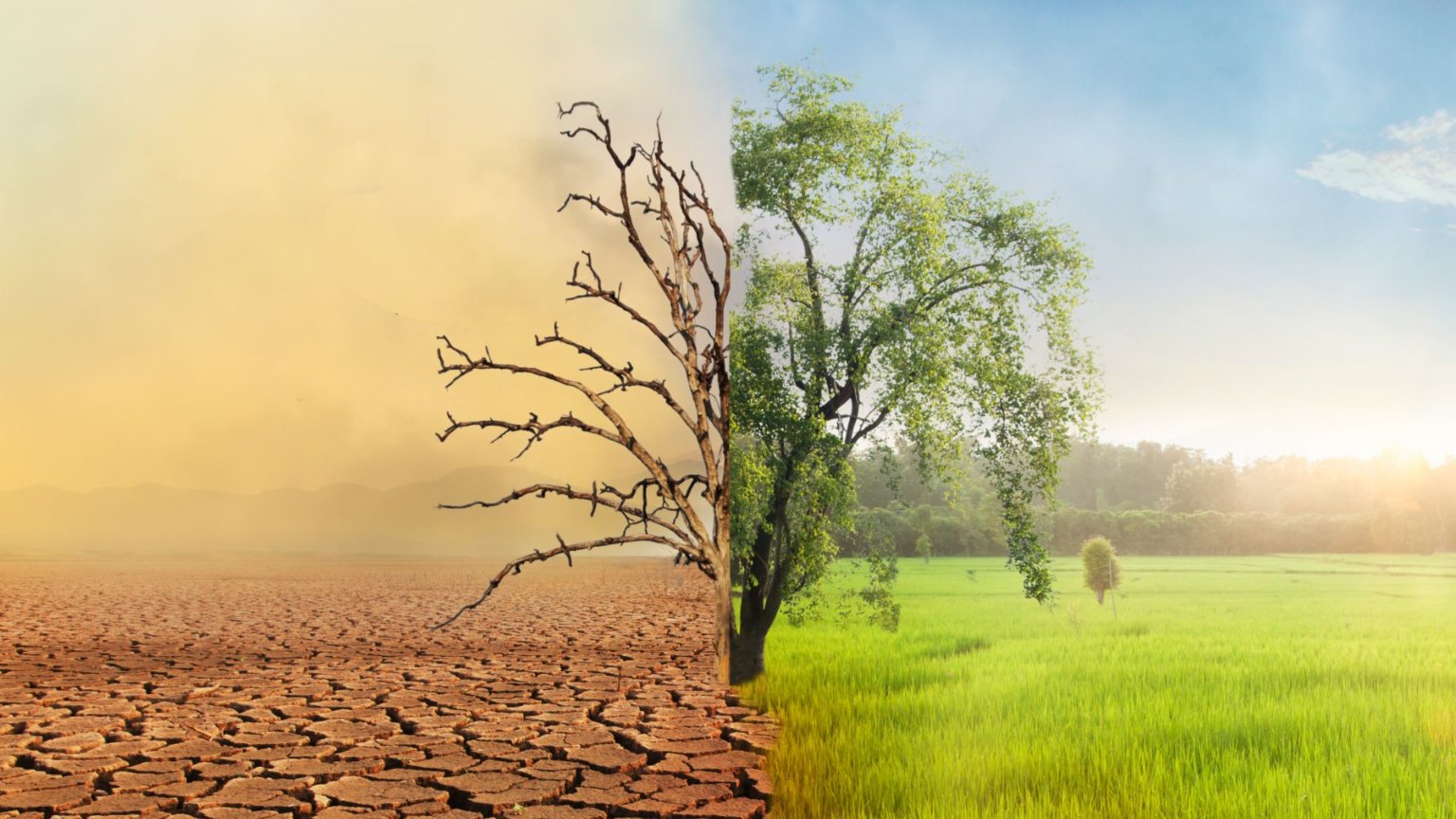 This COP27 Day Zero matters more than ever